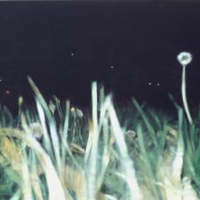 Untitled, 1998, oil on canvas, cm 70x125